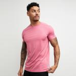 Summer Men Set Fitness Suit Short Sleeve T Shirt knitted Weaving