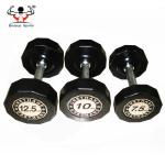 OEM Logo Fixed Rubber Dumbbells 5LB - 100LB Weight For Resistance Training