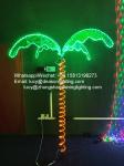 Led rope light palm tree