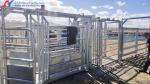 Heavy Duty Steel Cattle Buildings Customized Steel Structure Animal Husbandry