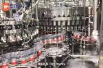 10000BPH Aluminum Bottle Water Bottle Filling And Capping Machine Monoblock