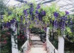 Modern Design Agriculture Plant Greenhouse Strong Wind Pressure Resistance