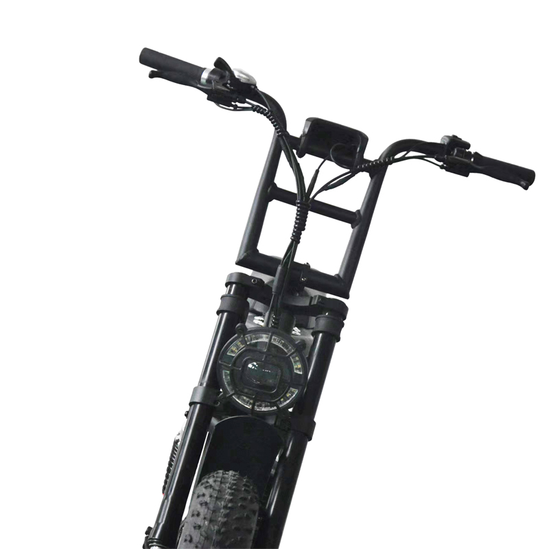 1000W Dual Battery Step Through Electric Retro Motorcycle Fat Bike with 80-90 Nm Torque