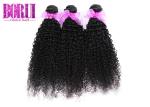 Cuticle Aligned Kinky Curly Human Hair Virgin Malaysian Bundles Extension