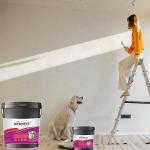 Cement-based Polyurethane Liquid Rubber Waterproof Coating for Roof Membrane