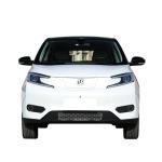 EVH Car Energy Vehicle EV HOUSE YOUNG LIGHT XIAOXIN Pure Electric Big Sale