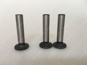 Quality Diesel Engine valve tappet black seat ISO9001 2008 Certification wholesale