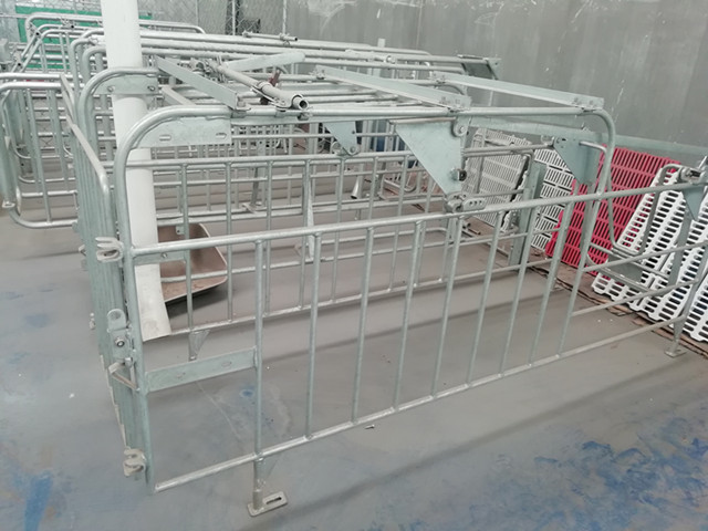 Anti Corrosion Pig Gestation Crates Easy To Assemble And Clean Long Using Life