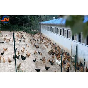 Quality Q235B/Q345B Low Carbon Steel Steel Structure Chicken Coop Prefabricated Chicken Houses wholesale