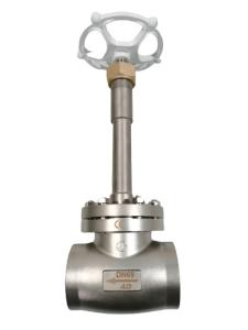 Quality Liquid Ammonia SS304 SS316 Cryogenic Globe Valve wholesale