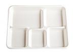 Bagasse Biodegradable Food Trays