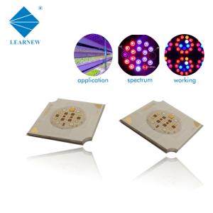Quality 12-18umol/s Grow Light LED COB DC50V High CRI 9W COB LED wholesale