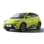 New Energy China Electric Car BYD Seagull EV 2023 Electric New Cars 405 Km