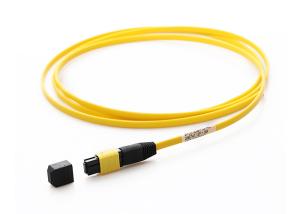 Quality 3.0mm 12F MPO Female Fiber Optical Pigtail Single Mode wholesale