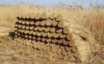 ECO Friendly Decoration Panels Privacy Carbonized Natural Reed Outdoor Garden
