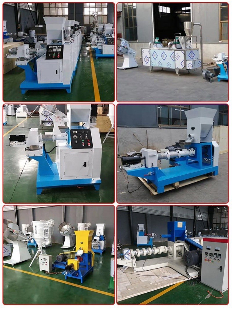 200-300kg/h dog food making machine catfish Tilapia floating fish feed pellet extruder with 1 year of warranty
