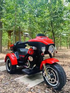 Quality Remote Control Exquisite Kids Electric Motorcycle 3 Wheel 6-12km/H Speed wholesale