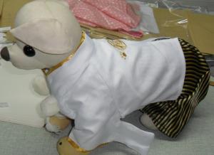 Quality dog kimono for male wholesale
