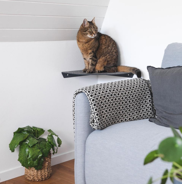Standard Copper Cat Wall Plate Shelves Steps for Wall Mounted Cat Scratching Platform