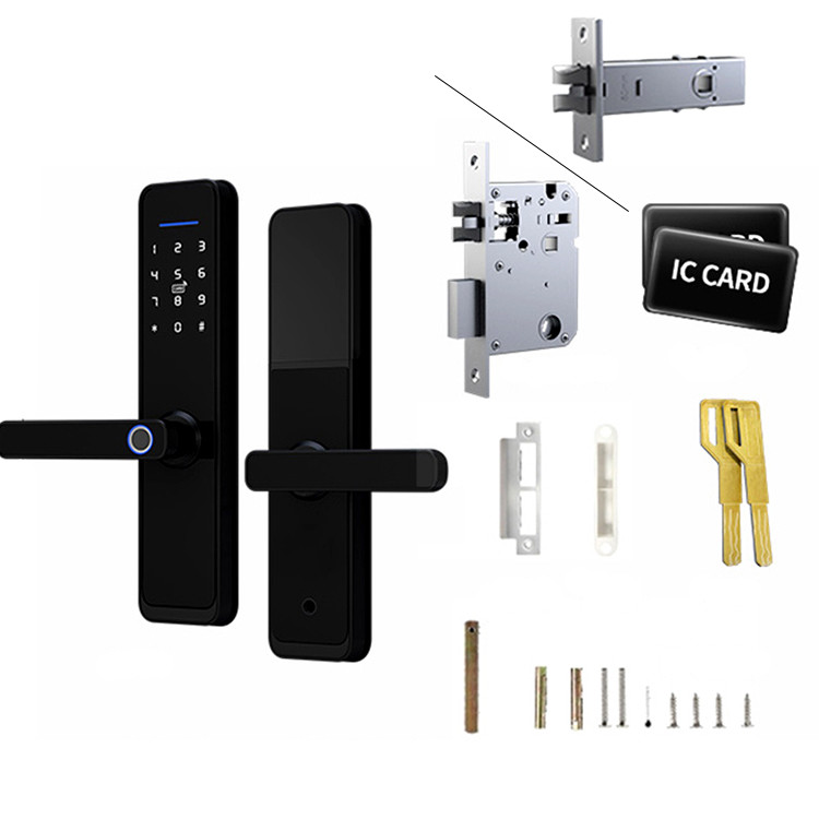 Security Tuya Biometric Fingerprint Lock Compatible For Apartments Office