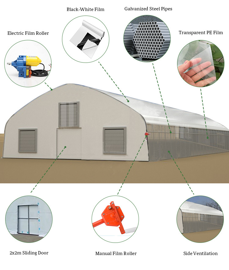 Single Polytunnel Green House Light Dep System With LED Grow Light
