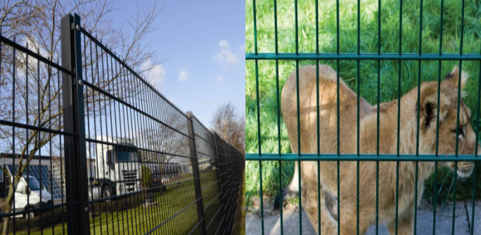 Hot Dip Galvanized 868 Prison Twin Mesh Fencing