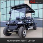 Maintenance Free Battery 48V Electric Golf Car Buggy Sightseeing Car