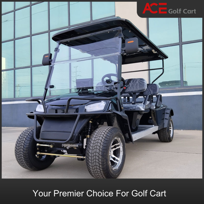 Maintenance Free Battery 48V Electric Golf Car Buggy Sightseeing Car