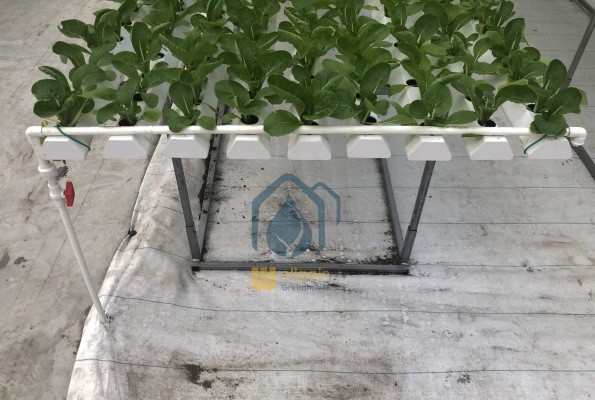 Agricultural Lettuce Hydroponic Growing System NFT Vertical Hydroponic System