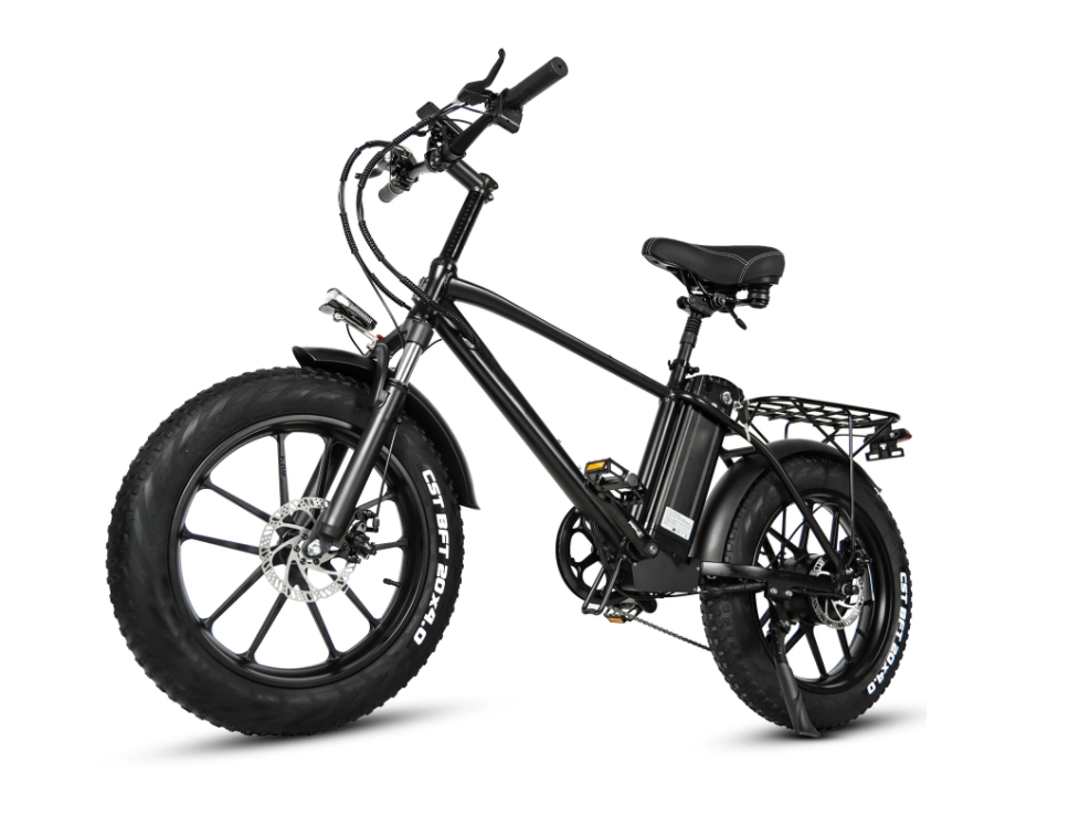 18Ah Lithium Battery Electric Hybrid Bike 750W 20 Inch Fat Tire Mountain Ebike For Adult
