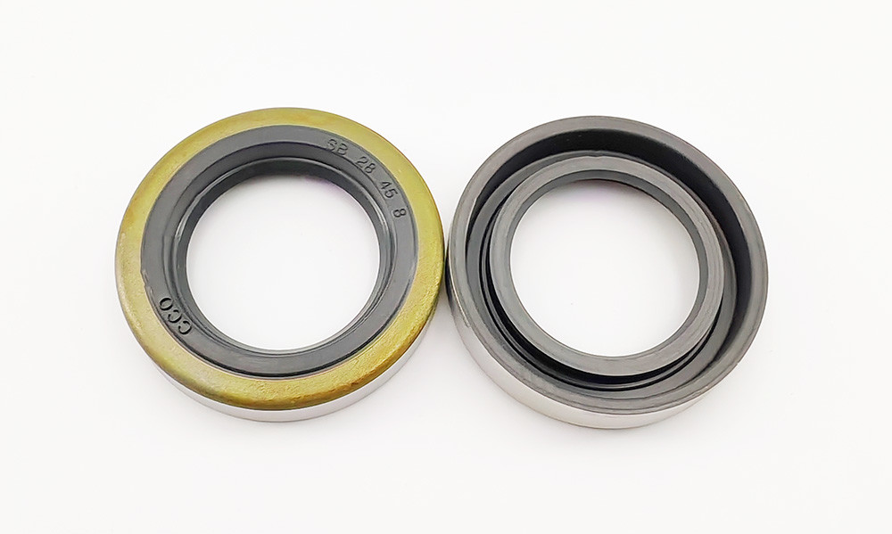 Antifriction Mechanical Seals Double Lip Oil Sealer For Temperature