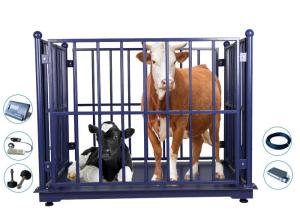 Quality ZEMIC 3 Tons Digital Cattle Weighing Scales With ODM wholesale