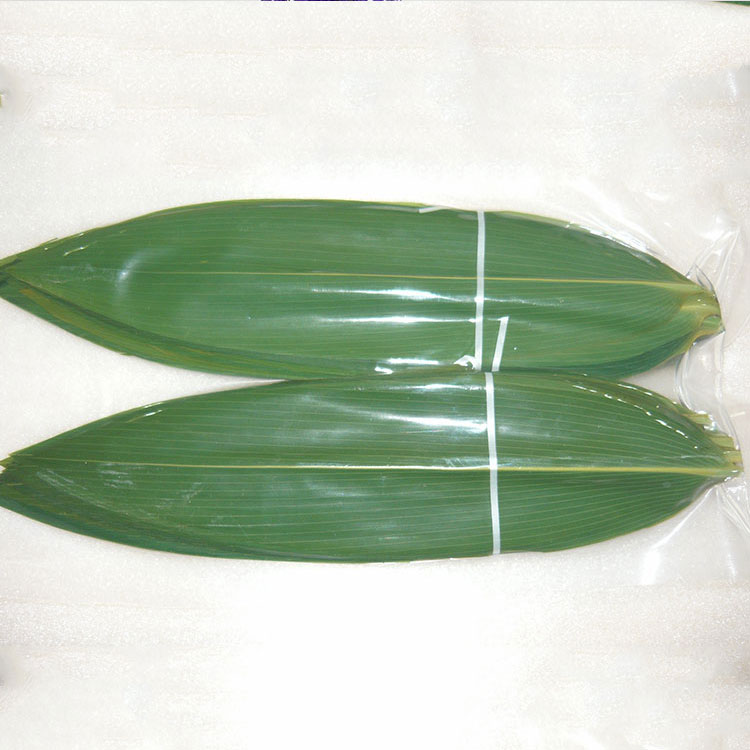 Nature Green HOBA Bamboo Leaves The Essential Ingredient for Serving Sushi