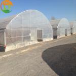 Efficiently Assembled Economical Galvanized Steel Frame Garden Portable