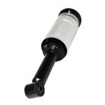 Front Land Rover Air Suspension for Discovery 3 Rnb501580 Rnb501250