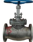 DSS Duplex Stainless Steel Globe Valve A995 4A Industrial Stop Valve 8 Inch