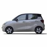 2024 Wuling Hongguang MINIEV Pure Electric Compact Car 220V