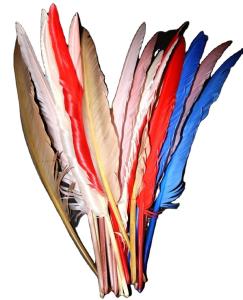 Quality Valentine's Day Millinery Supplies Turkey Feather Quill for Worldwide Shipping wholesale