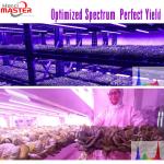 18 Watt LED Bar Grow Lights 60Hz IP65 AC 305V PPFD Vegetative Blooming