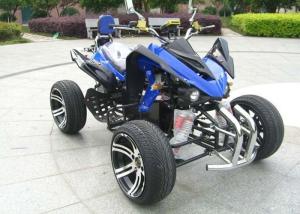 Quality 800w / 1500w Youth Four Wheelers , 2 Seater Quad Bike 12V / 55AH * 4PCS Lead Acid Sealed wholesale