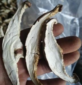 Quality 500g Food Family Pack Dried Sliced Shiitake Mushrooms MOQ5CTN wholesale
