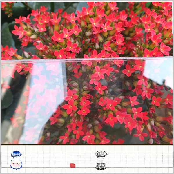 2.1m Width Pink Polycarbonate PC Solid Sheet With 0.6mm-18mm Thickness