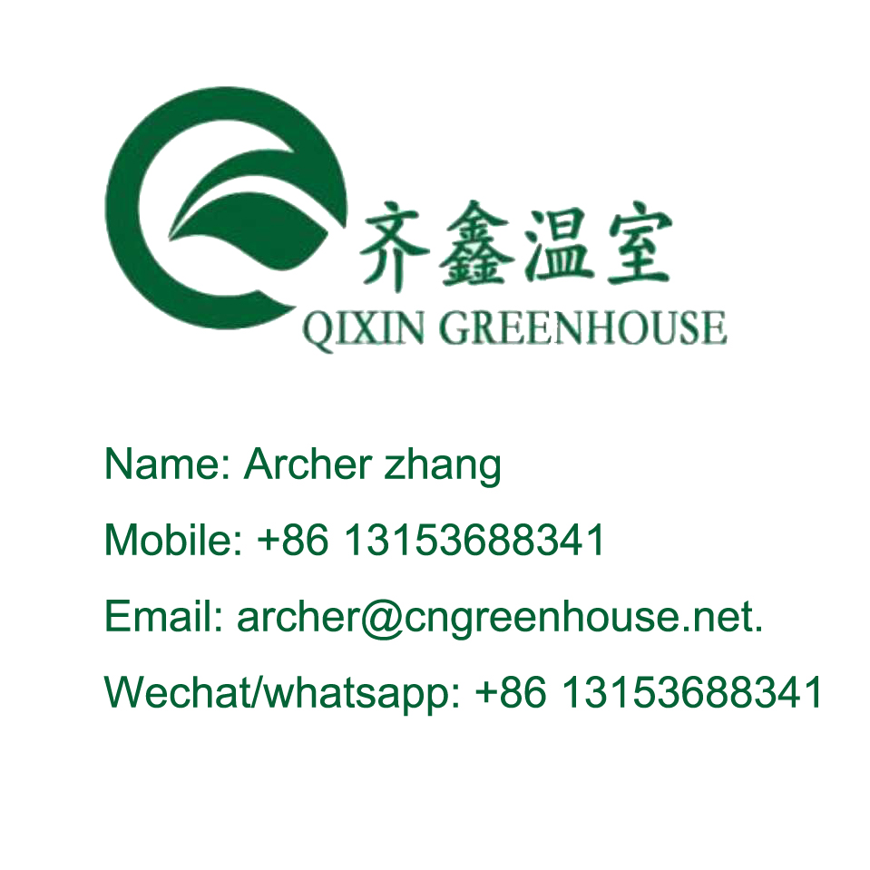 Commercial Film Covered Single Tunnel Greenhouse for Maximizing Agricultural Output