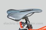 Red 38km/h Electric Pedal Assist Mountain Bike 48V 500W Gear Motor
