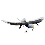 2.4g 2ch Electric Glider Radio Controlled Aircraft Rc Eagle Plane Remote Control