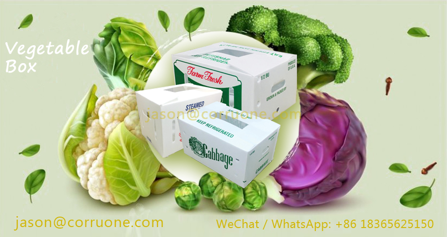 PP Corrugated plastic box vegetable fruit box