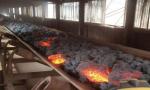 Heat Resistance EPHR Conveyor Belt Fabric , Industrial Conveyor Belt Material