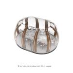 Transparent Extended Star Room Bubble House as Fire Protection for Camping and