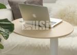 One Leg Pneumatic Height Adjustable Gas Lift Top Standing Desk