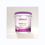 Fucsia Interior Wall Paint Acid Proof Coating for House Decoration EINECS No.